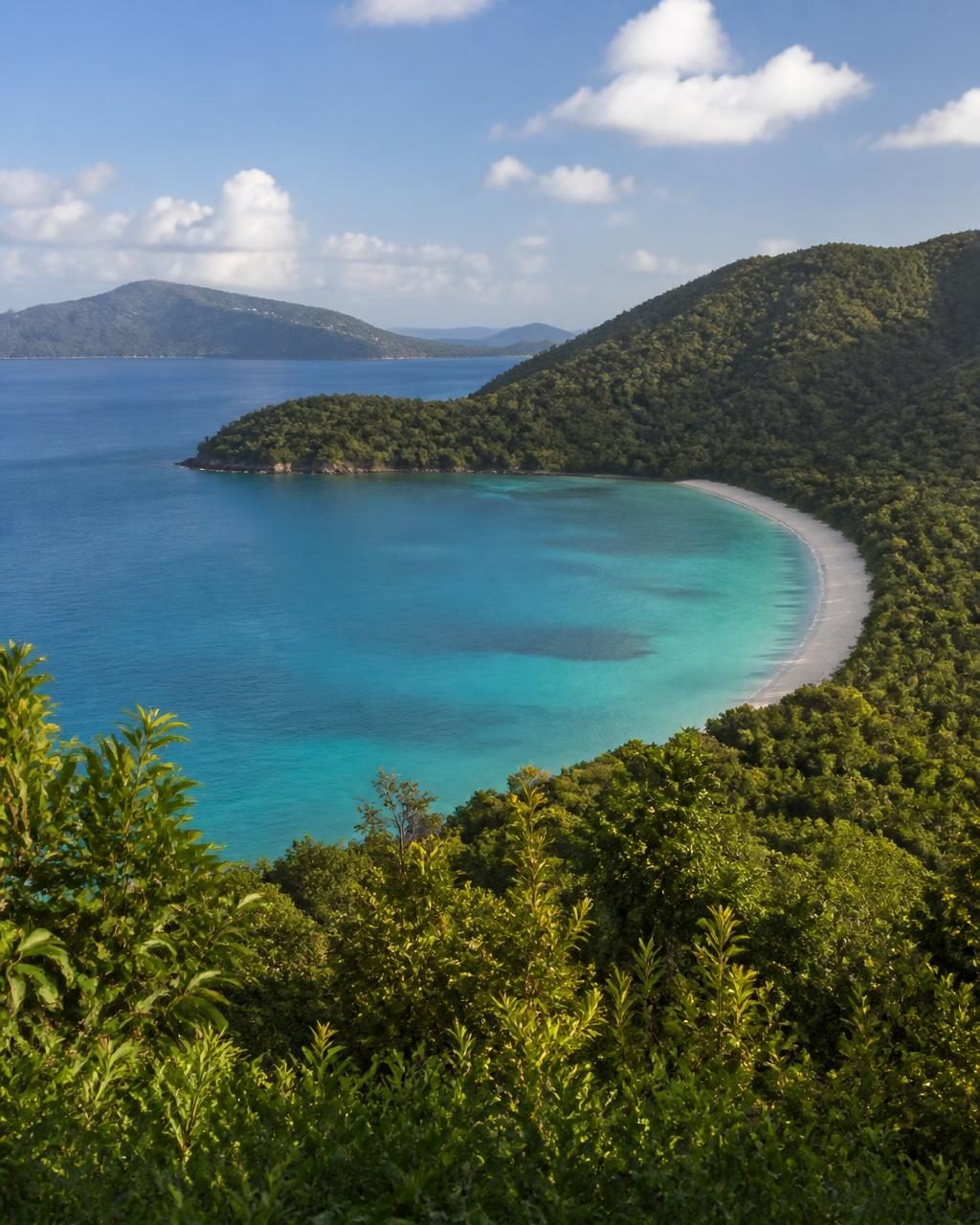 Deep horseshoe bay framed by forested hills in the US Virgin Islands